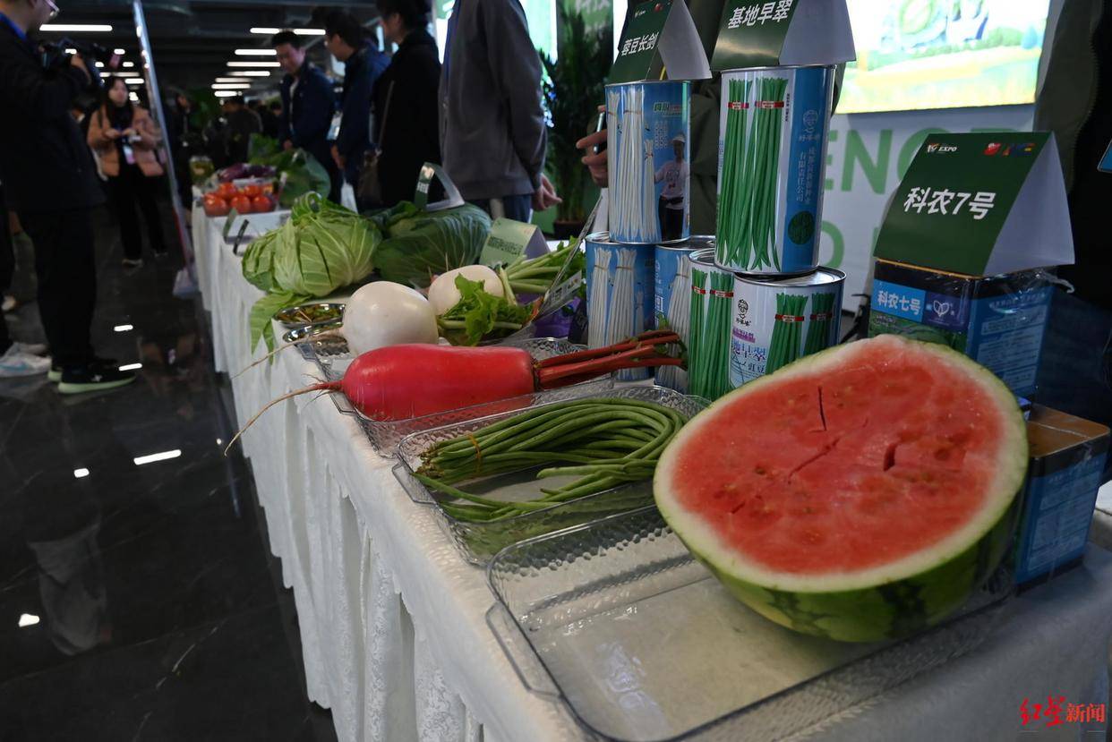 菜博会观察：蔬菜盯上“水果化”转型鲜食蔬菜为何变成新风口？米乐m6官网(图5)