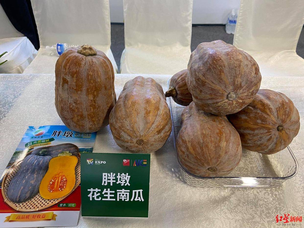 菜博会观察：蔬菜盯上“水果化”转型鲜食蔬菜为何变成新风口？米乐m6官网(图6)