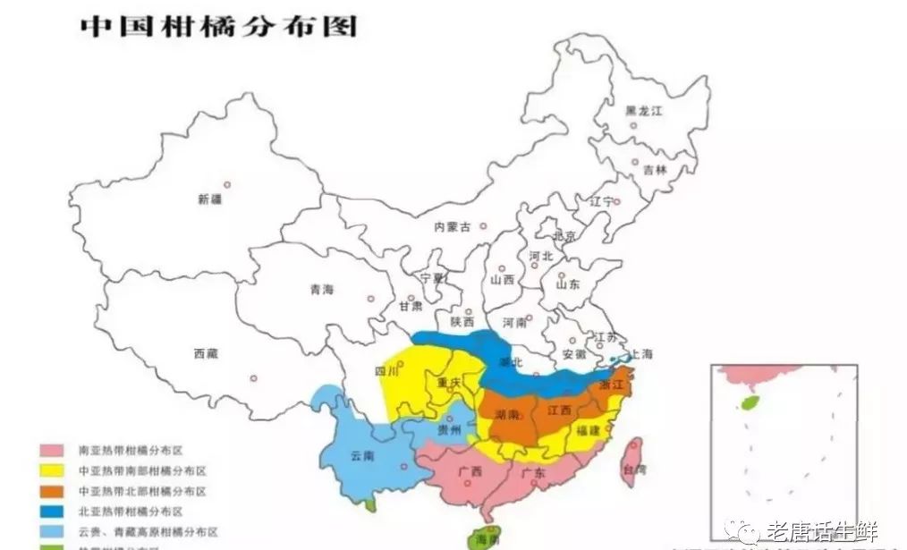 【果技精选】柑橘五张图！水果采购必须掌握的产地分布、品种区分、各品种不同产季等常识(图3)