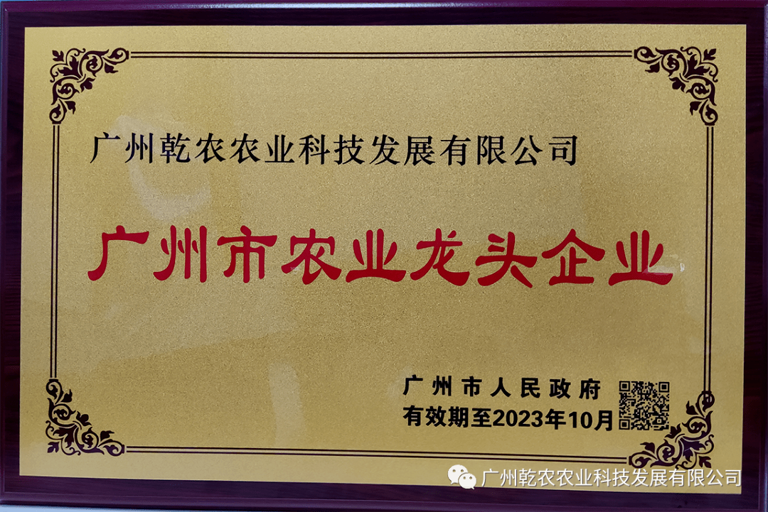 32万个蔬菜品种经30多万人次农业人一同见证！全国最新潮的品种也在这里(图5)