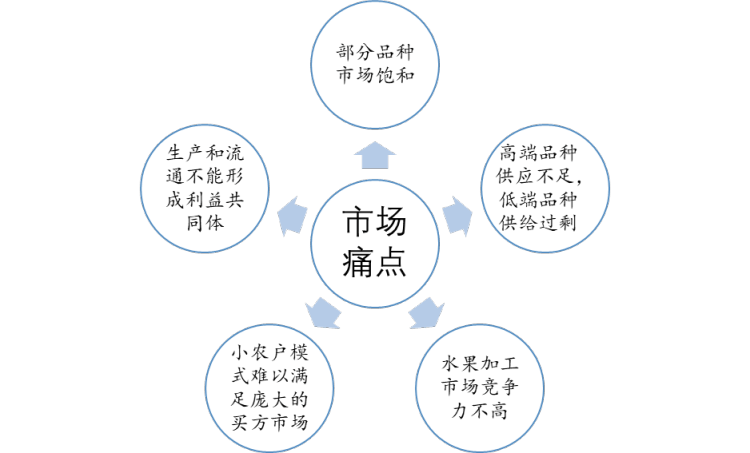 m6米乐app洞察2022：一文了解中国水果行业发展现状及趋势(附主要品种、重点产区等)(图9)