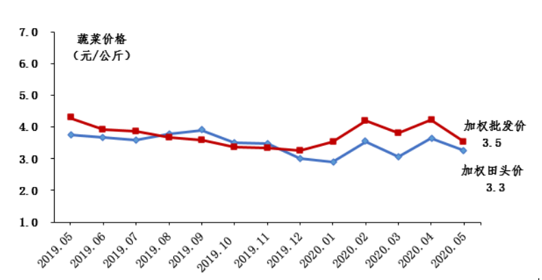 2020年5月广东省蔬菜产销形势分析-广东省农业农村厅(图7)