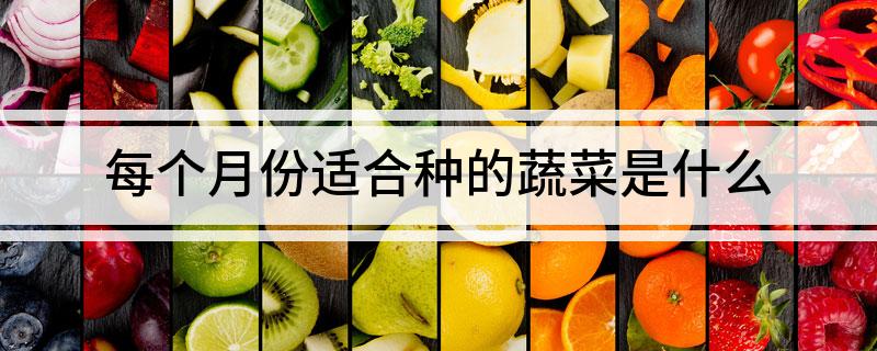 每个月份适合种的蔬菜是什么(图1)