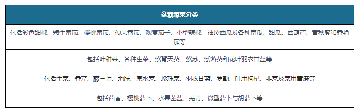 我国盆栽蔬菜行业发展势头向好 未来市场需求将保持持续攀升态势(图1)