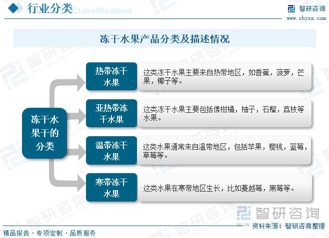 冻干水果报告：消费者对健康食品和方便食品的关注行业增长势头(图1)