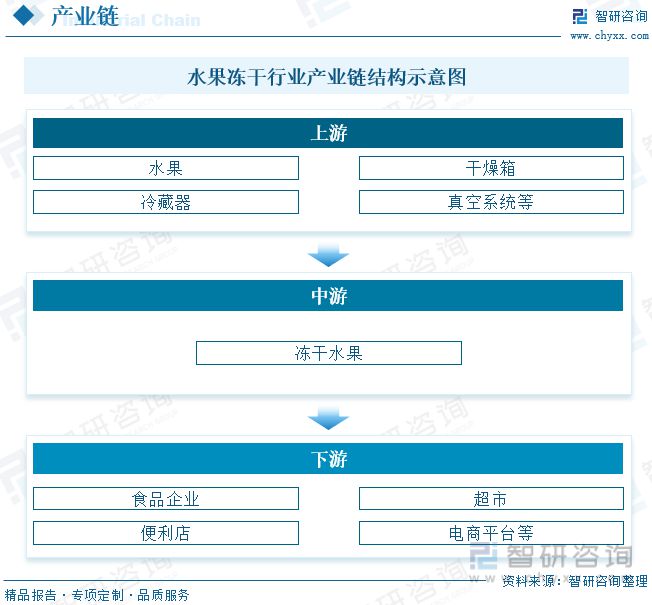 冻干水果报告：消费者对健康食品和方便食品的关注行业增长势头(图3)