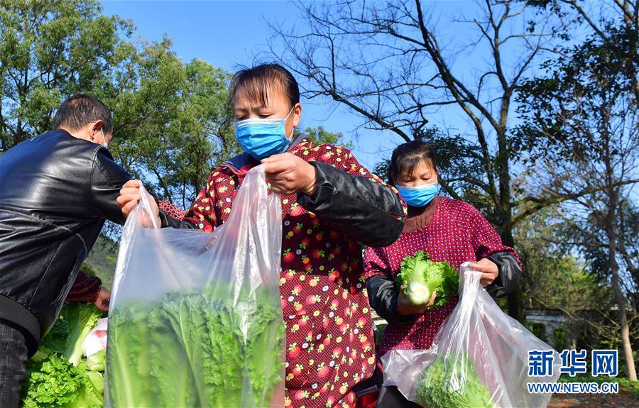 m6米乐平台广西桂林：“借力+接力”新鲜蔬菜进社区-新华网(图5)