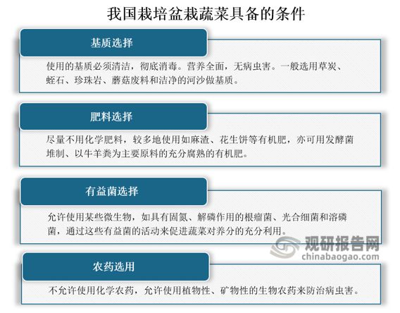 我国盆栽蔬菜认可度提高 行业有望迎来第一股 市场规模将持续增长(图1)