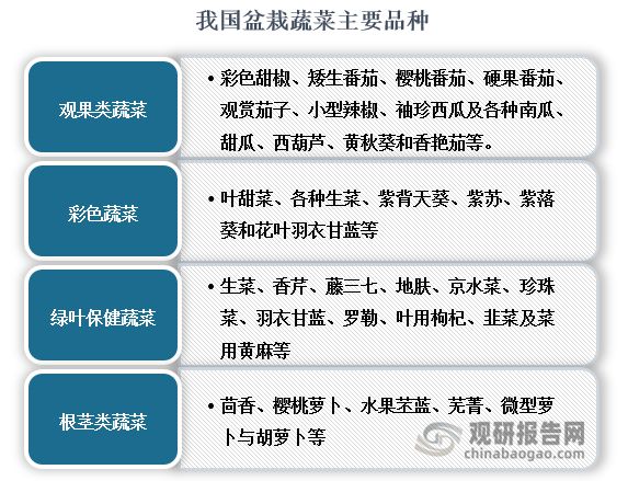 我国盆栽蔬菜认可度提高 行业有望迎来第一股 市场规模将持续增长(图2)