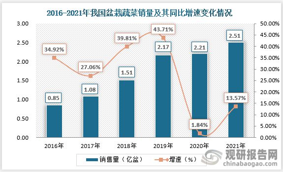 我国盆栽蔬菜认可度提高 行业有望迎来第一股 市场规模将持续增长(图4)