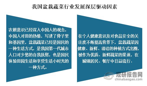 我国盆栽蔬菜认可度提高 行业有望迎来第一股 市场规模将持续增长(图9)