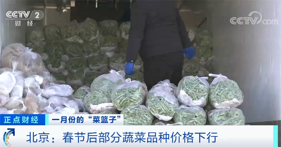 关注“菜篮子”生产供应 节后部分蔬菜品种价格下行(图3)