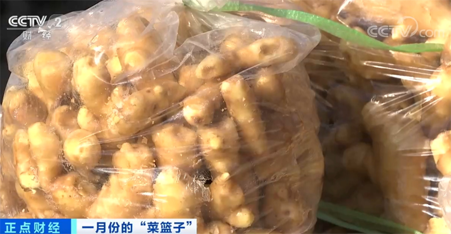 关注“菜篮子”生产供应 节后部分蔬菜品种价格下行(图4)