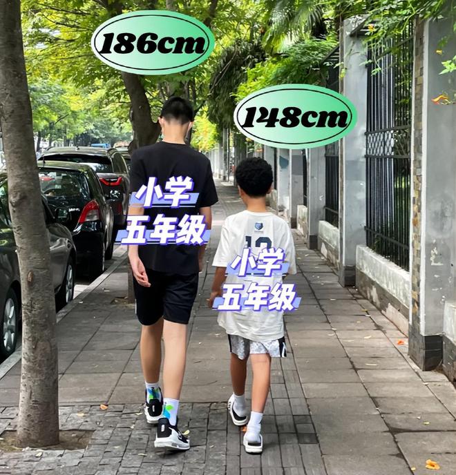 m6米乐app小学生身高差能有多好笑背影看犹如父子一开口还是娃娃音(图2)