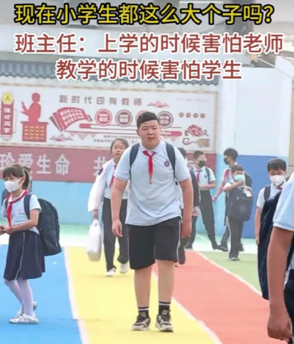 m6米乐app小学生身高差能有多好笑背影看犹如父子一开口还是娃娃音(图4)