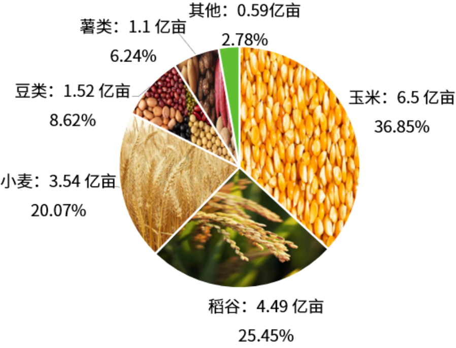 全国主要农作物种植面积一览(图3)