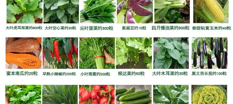 蔬菜的名字大全蔬菜的名字有哪些(图1)