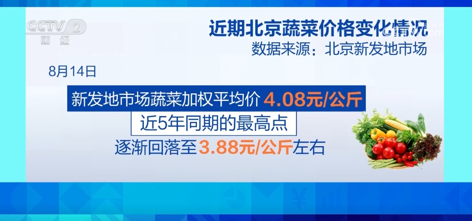 m6米乐平台市场供应充足 全国蔬菜价格涨幅收窄 9月以后菜价有望逐步回落(图3)