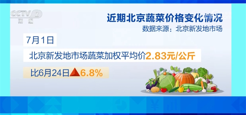 6月份全国蔬菜价格保持季节性下行 多举措保障居民拎稳“菜篮子”(图6)