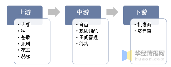 2022年中国盆栽蔬菜上下游产业链分析及行业前景(图3)