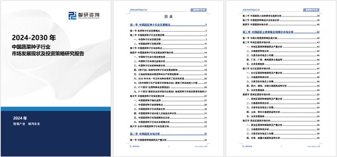 2024版中国蔬菜种子行业市场发展前景分析报告（智研咨询发布）(图5)