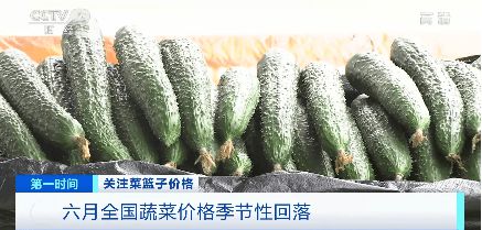 m6米乐平台六月全国蔬菜价格季节性回落 蔬菜生产形势向好(图2)