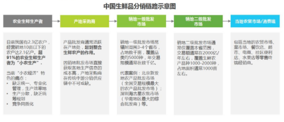 又快又好：每日优鲜产品分析(图13)