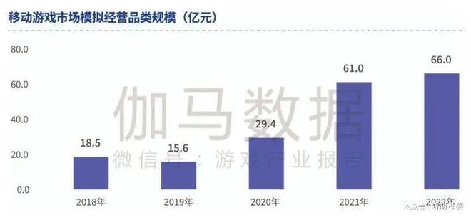 女大学生沉迷赛博打工(图4)