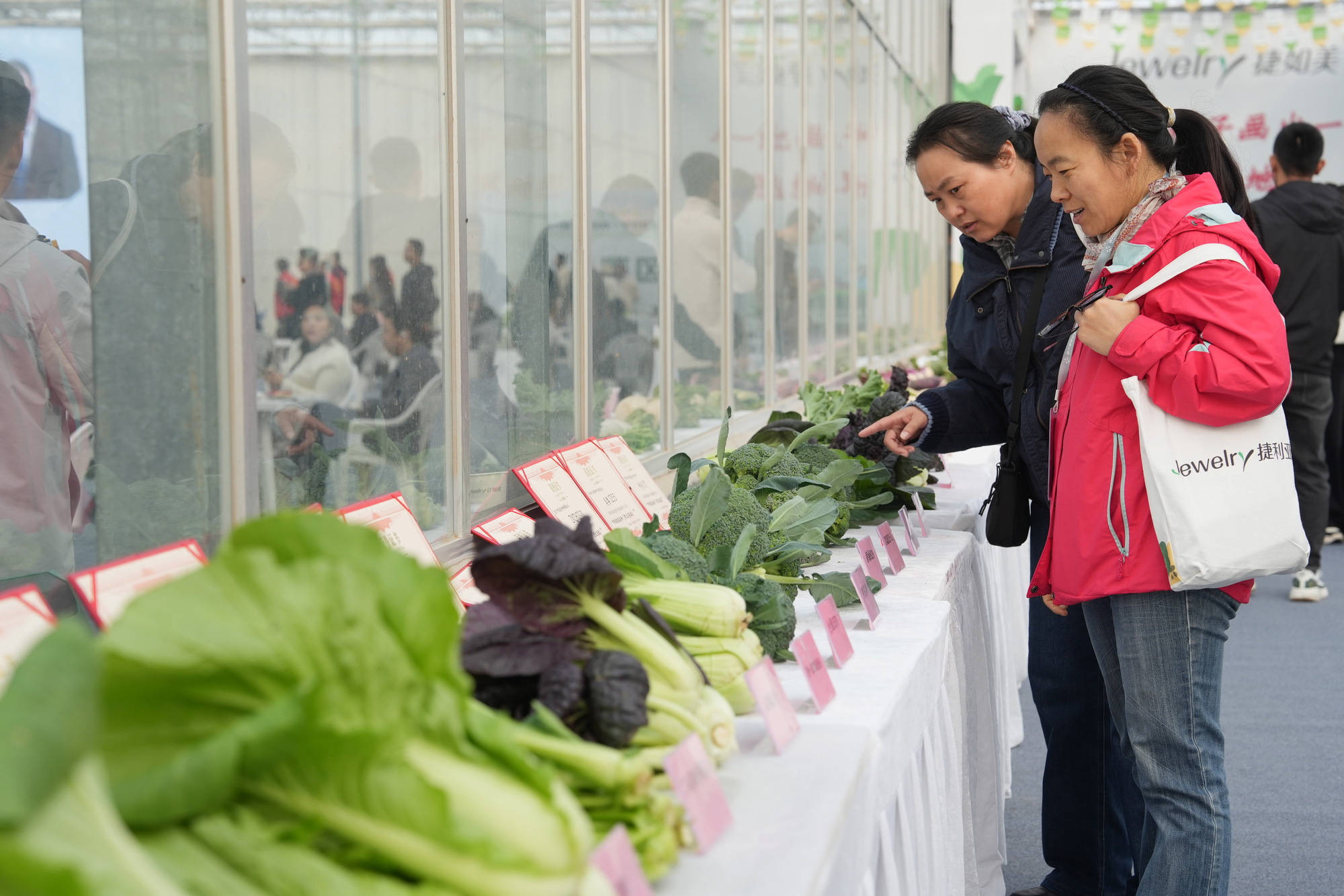 m6米乐平台聚焦种“芯”！第六届国际十字花科蔬菜大会在邢台举办(图3)