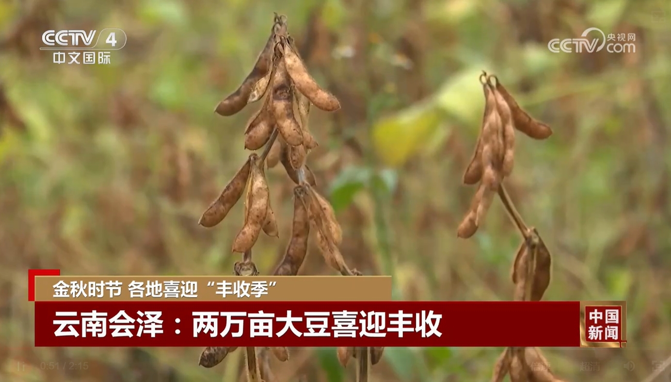 瓜果飘香稻穗金黄 希望的田野上奏响丰收赞歌(图4)