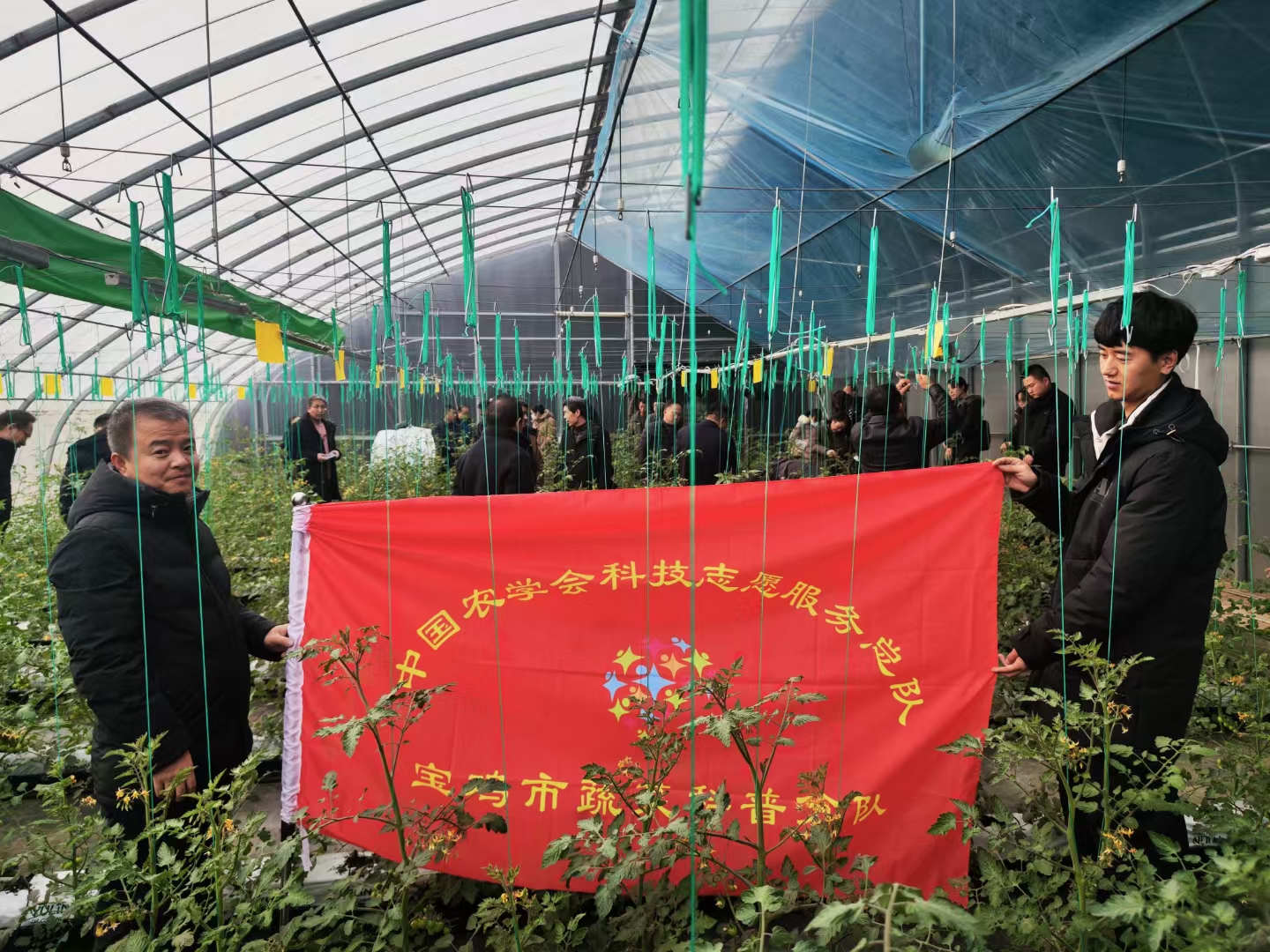 陕西省宝鸡市园艺站蔬菜科普分队举办设施蔬菜“三改一提”关键技术培训(图4)